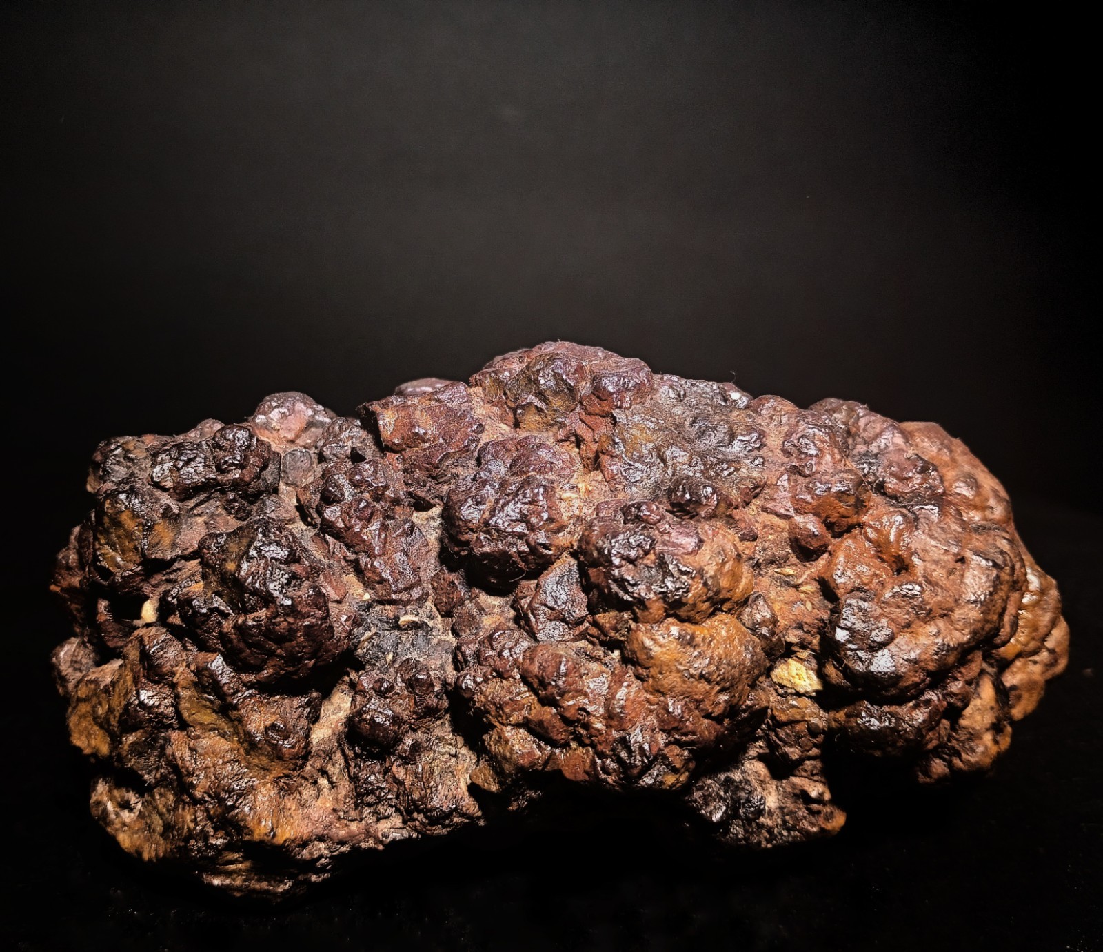Large 2lb .2oz Botryoidal Hematite \ Large 2lb .2oz Botryoidal Hematite \