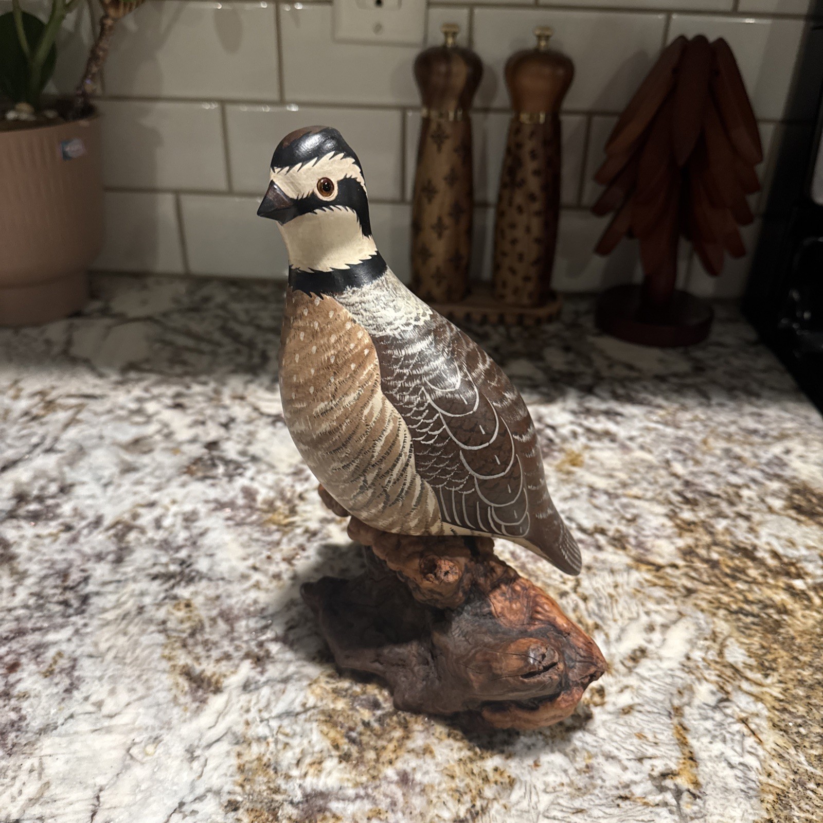 Wood Carved Quail by Chris Olson Wood Carved Quail by Chris Olson
