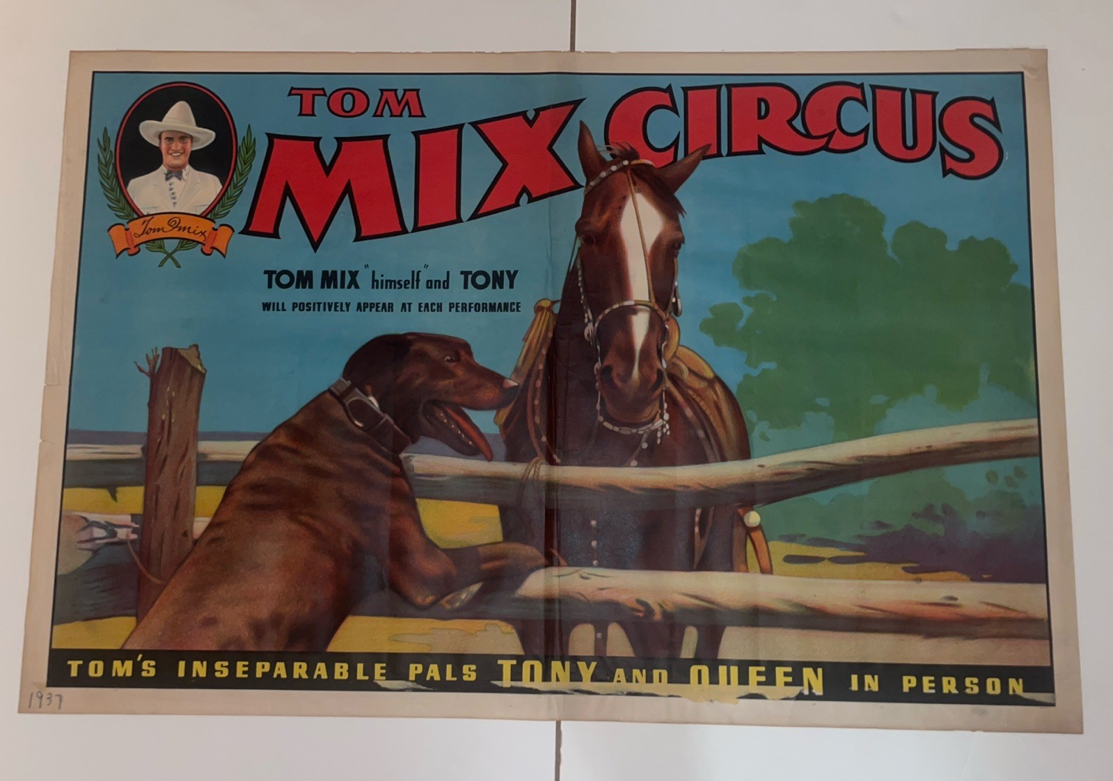 Original 1937 Tom Mix Circus Poster Featuring Pals Tony and Queen 28\