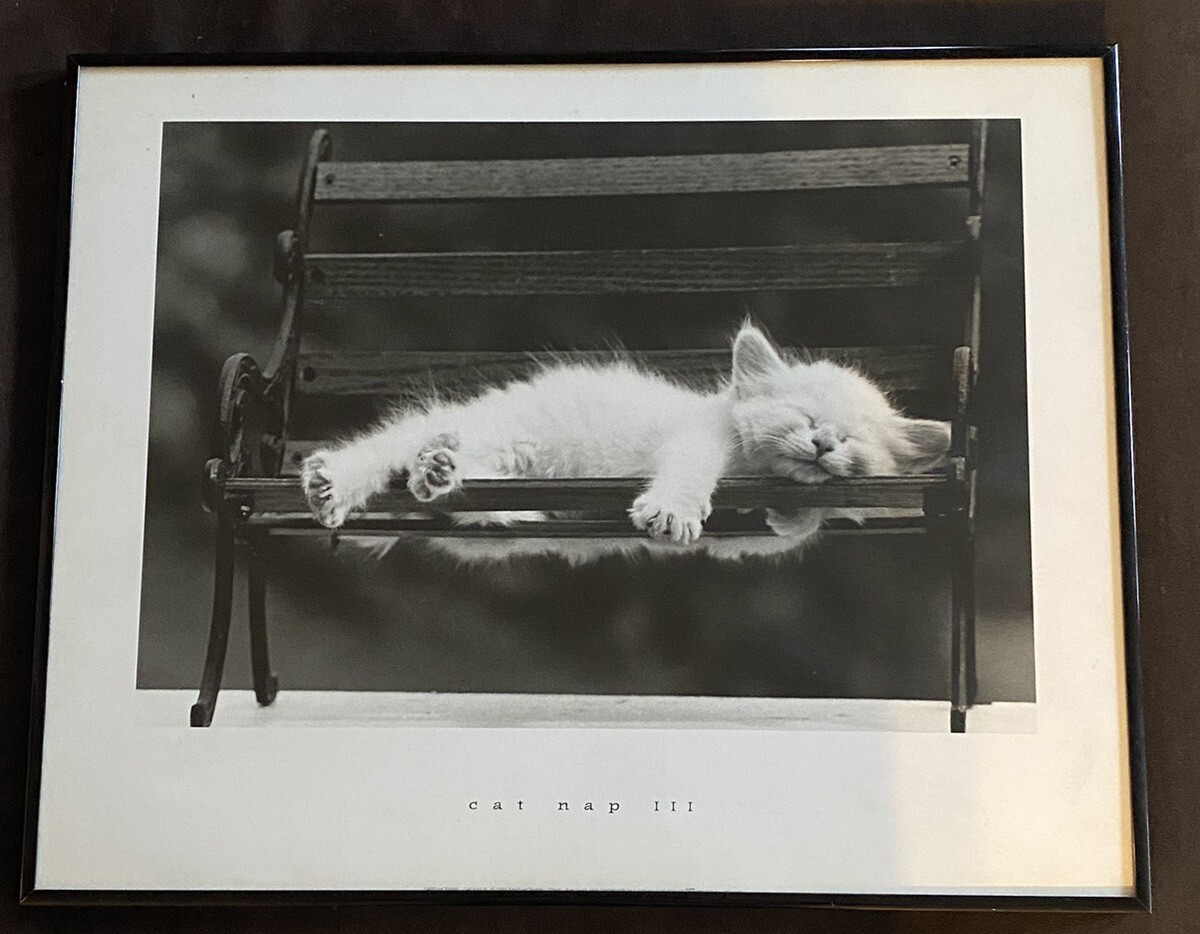 VINTAGE 1994 DAVID MCENERY CAT NAP III FRAMED PRINT 20 X 17”