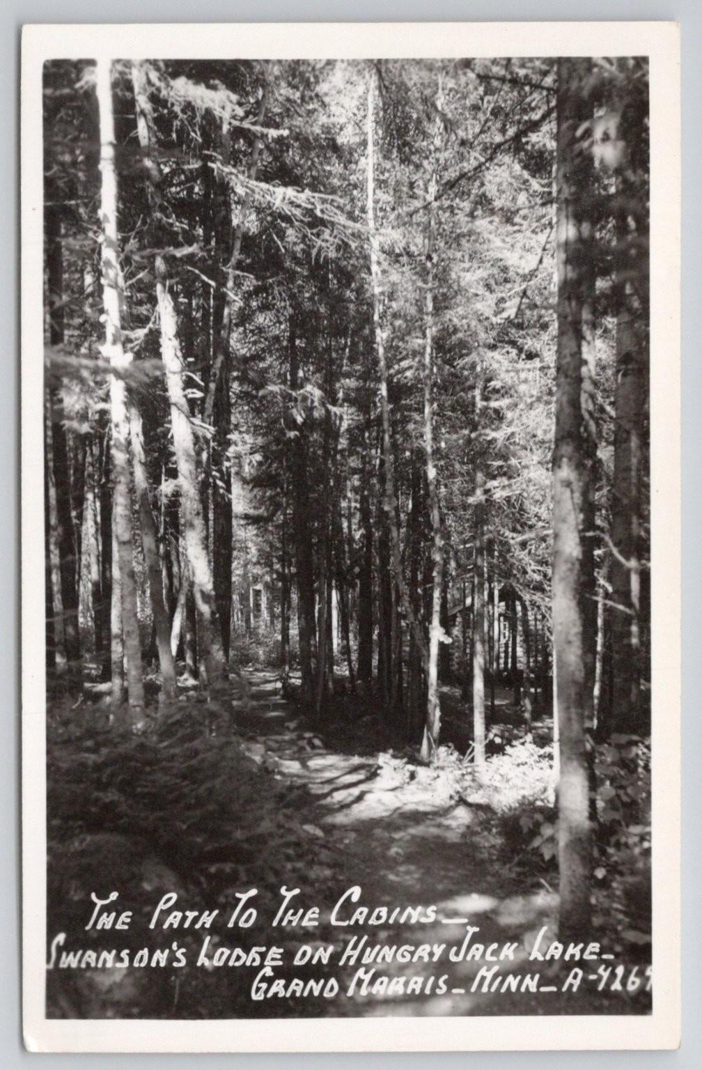 RPPC Swanson\'s Lodge Hungry Jack Lake Grand Marais, MN Forest Path RPPC Swanson\'s Lodge Hungry Jack Lake Grand Marais, MN Forest Path