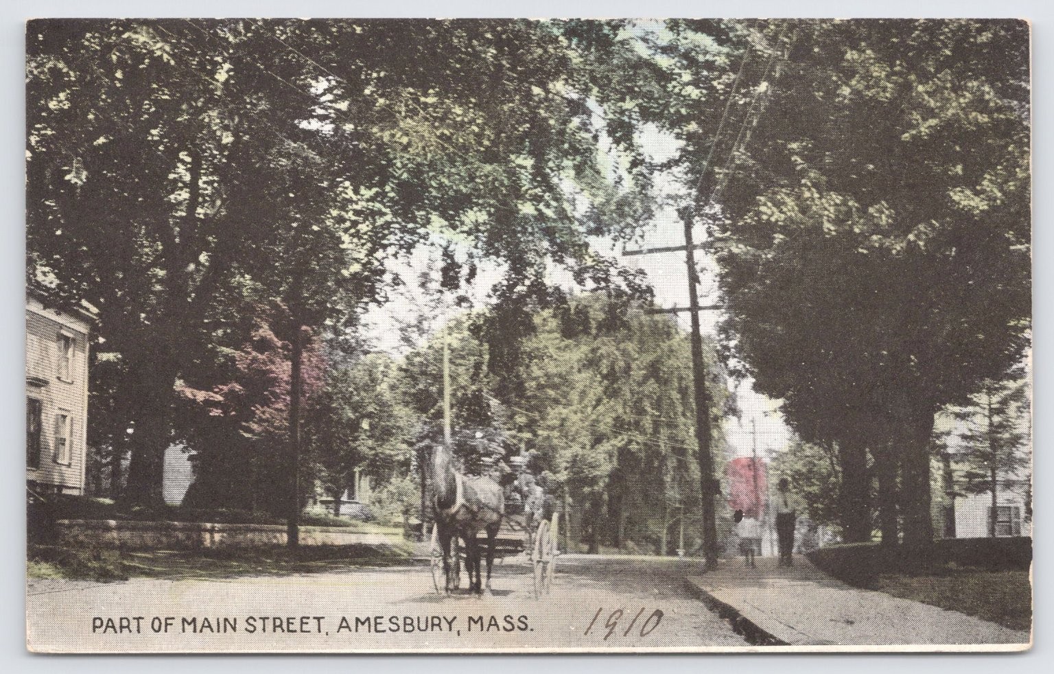 Amesbury MA Main Street Horse & Buggy Postcard Howes Stationer
