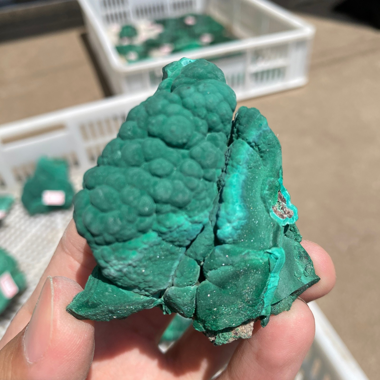 105G  Natural green Malachite quartz crystal mineral specimen Healing