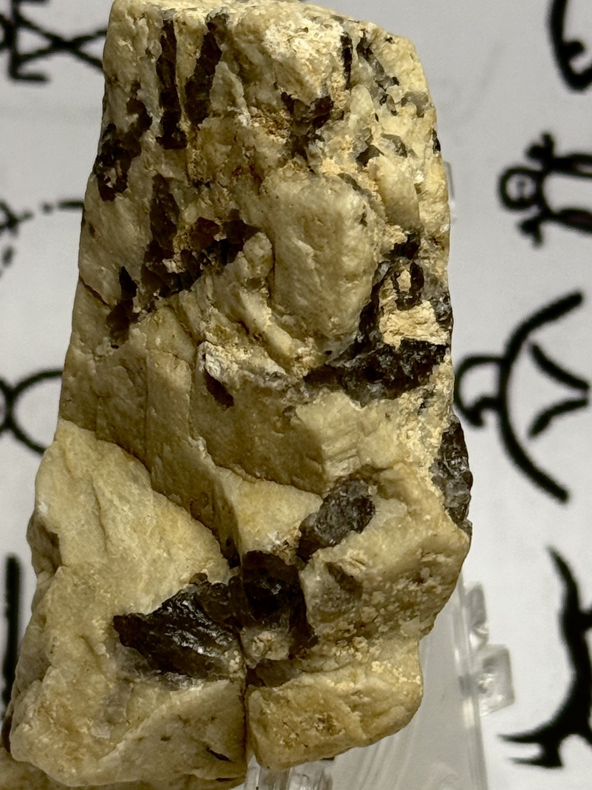 Native American Indian Authentic Carved Stone Ancient Effigy   4.3  oz • VA 