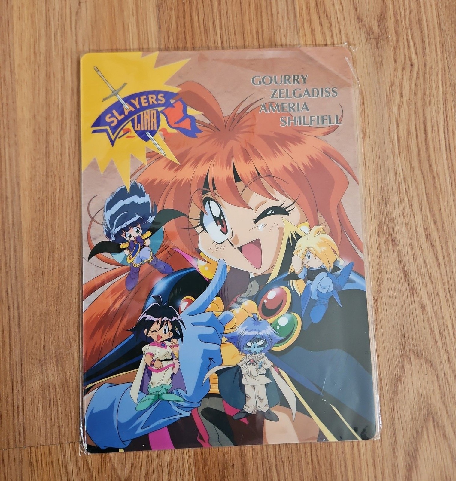 The Slayers Plastic Board Vintage Display Lina Inverse Zelgadiss New old Stock