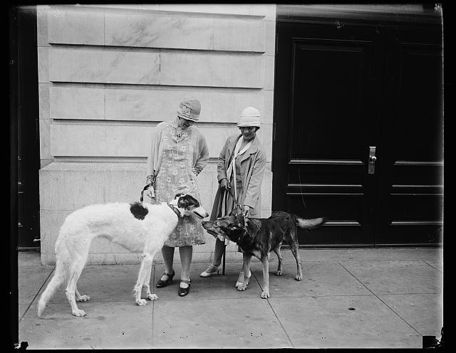 Photo:Two Women Dogs Street Scene 1920s Black and White Photo Print