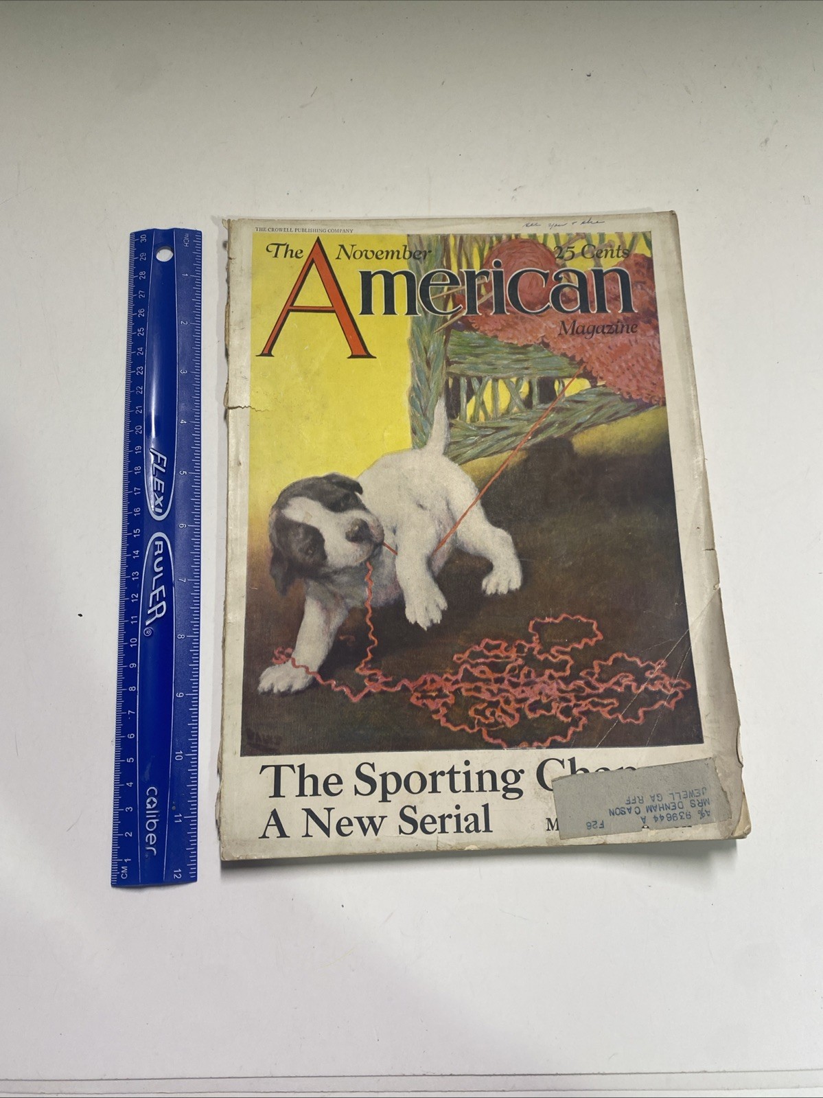 Vintage Magazine The American Magazine November 1925