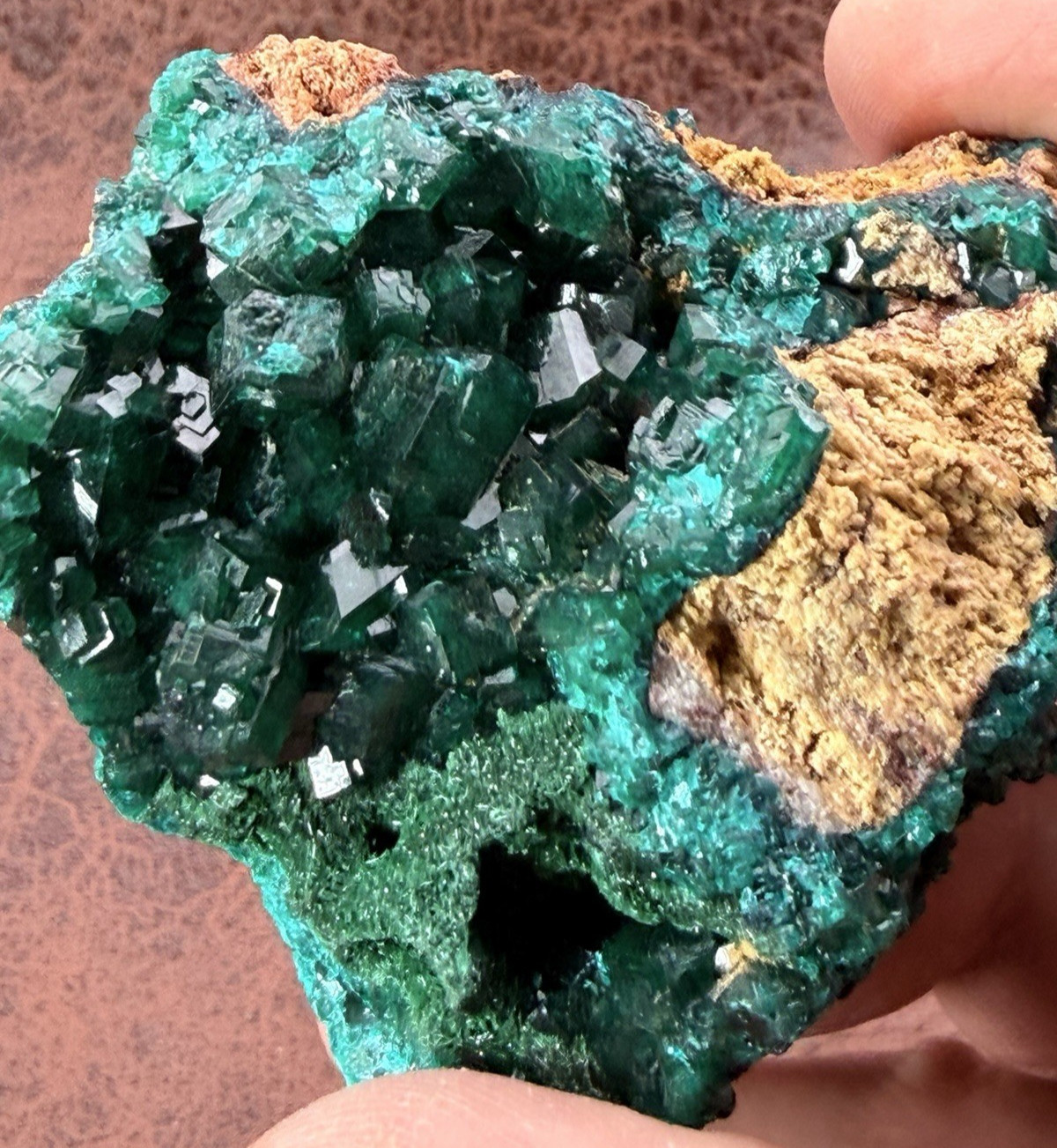Natural Emerald Green Dioptase Crystal Cluster Republic of The Congo  134   g.