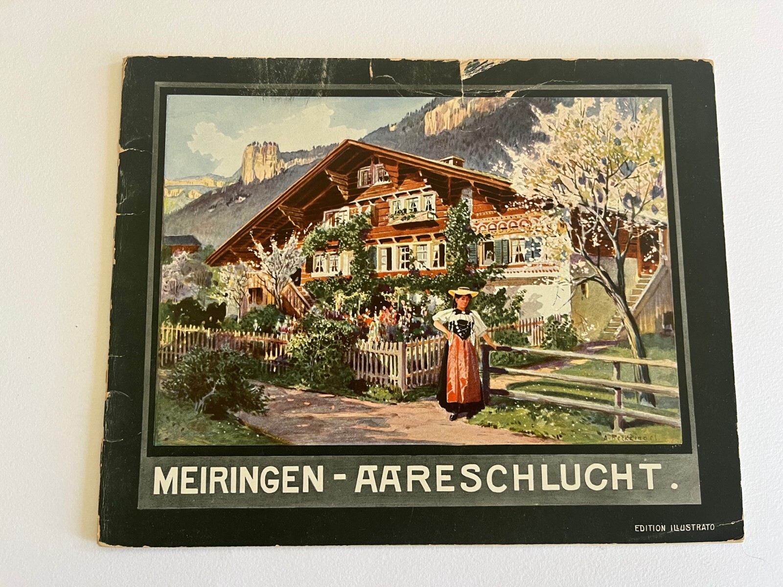 1900's MEIRINGEN SWISS ALPS Switzerland antique travel  Souvenir-Album views