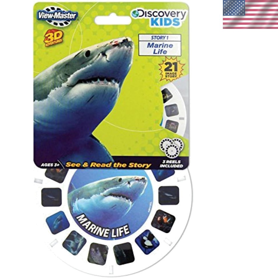 Fascinating 3D Marine Life Images for Kids - Enhance Learning & Teamwork Skills