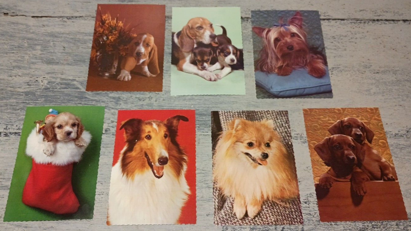 Vintage Iot of 7 Hallmark Postcards. Pharagraph on Back about each Dogs Pictured