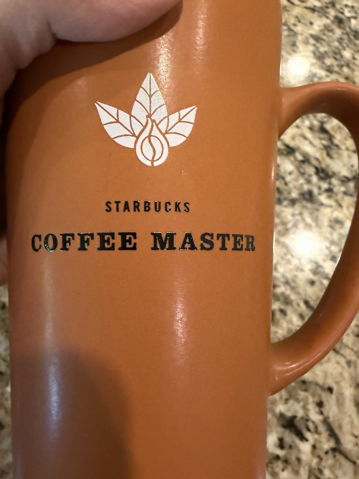 Vintage and RARE 2014 Starbucks 16oz Coffee Master Mug Cup