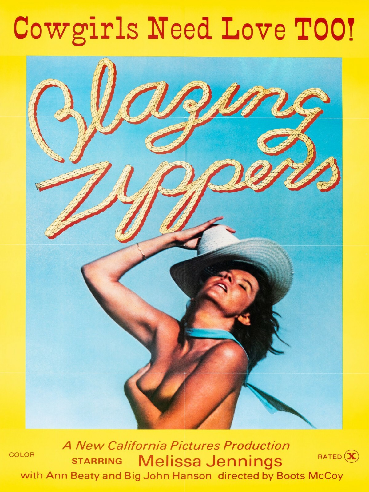 Blazing Zippers Movie Power NEW METAL SIGN: Cowgirls Need Love Too