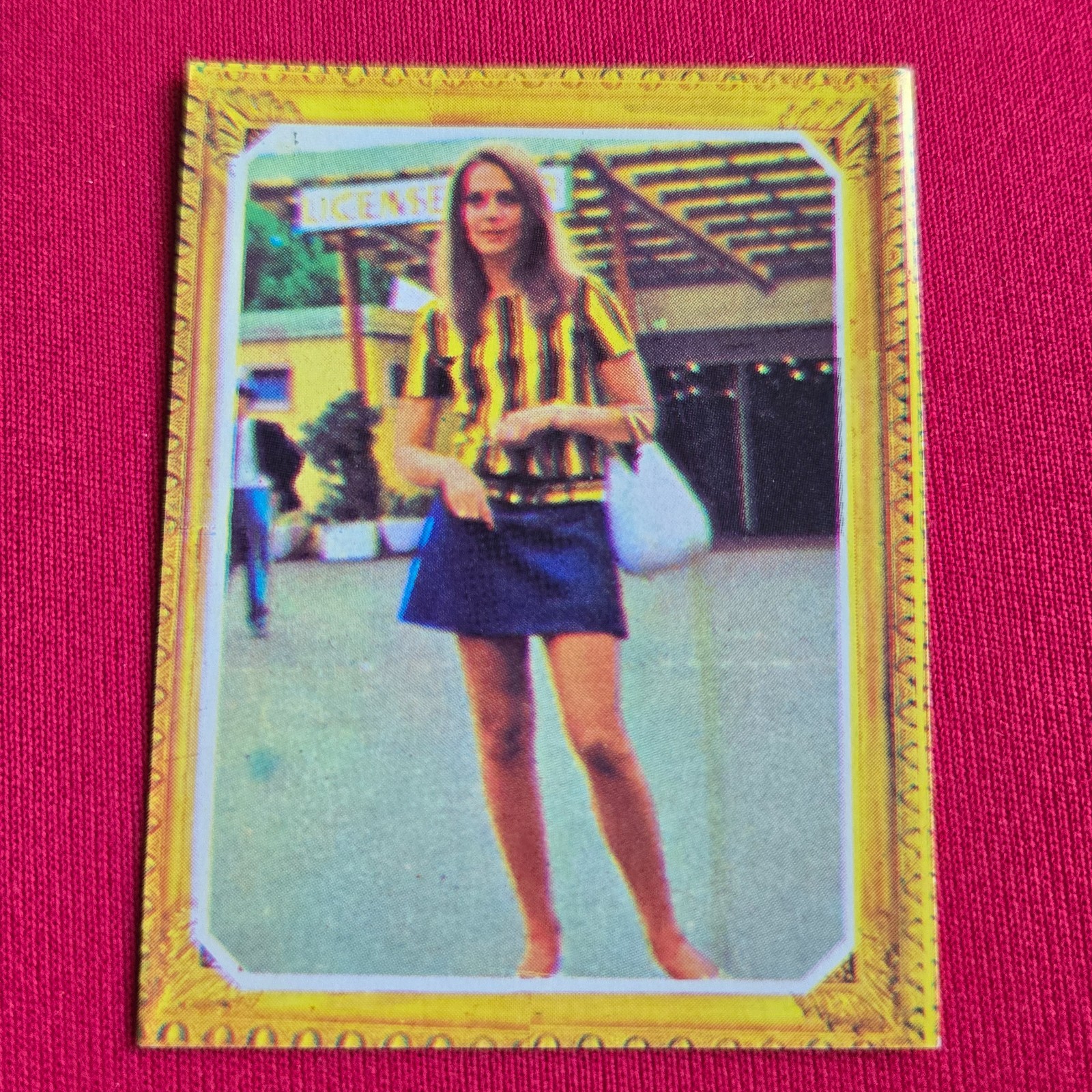 Natalie Wood 1977 Mis Favoritos #110 Hollywood Movie Star Trading Card