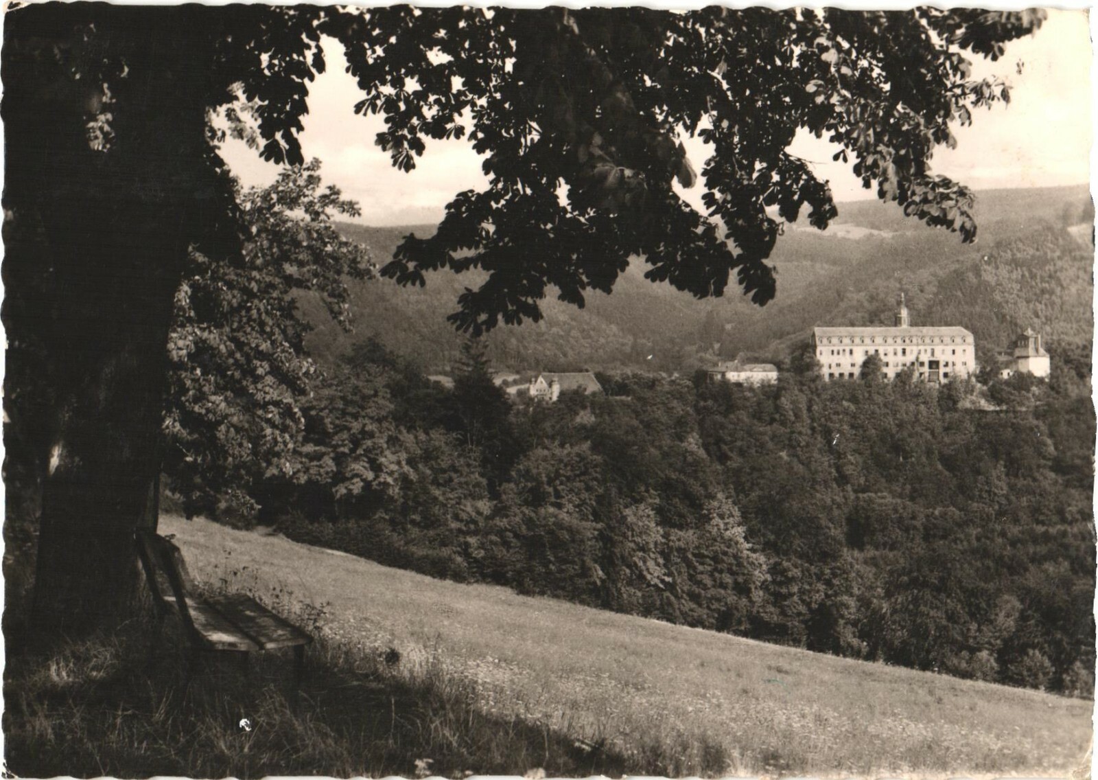 Schwarzburg Germany Thuringia View of Castle RPPC Real Photo Postcard 1961 Schwarzburg Germany Thuringia View of Castle RPPC Real Photo Postcard 1961