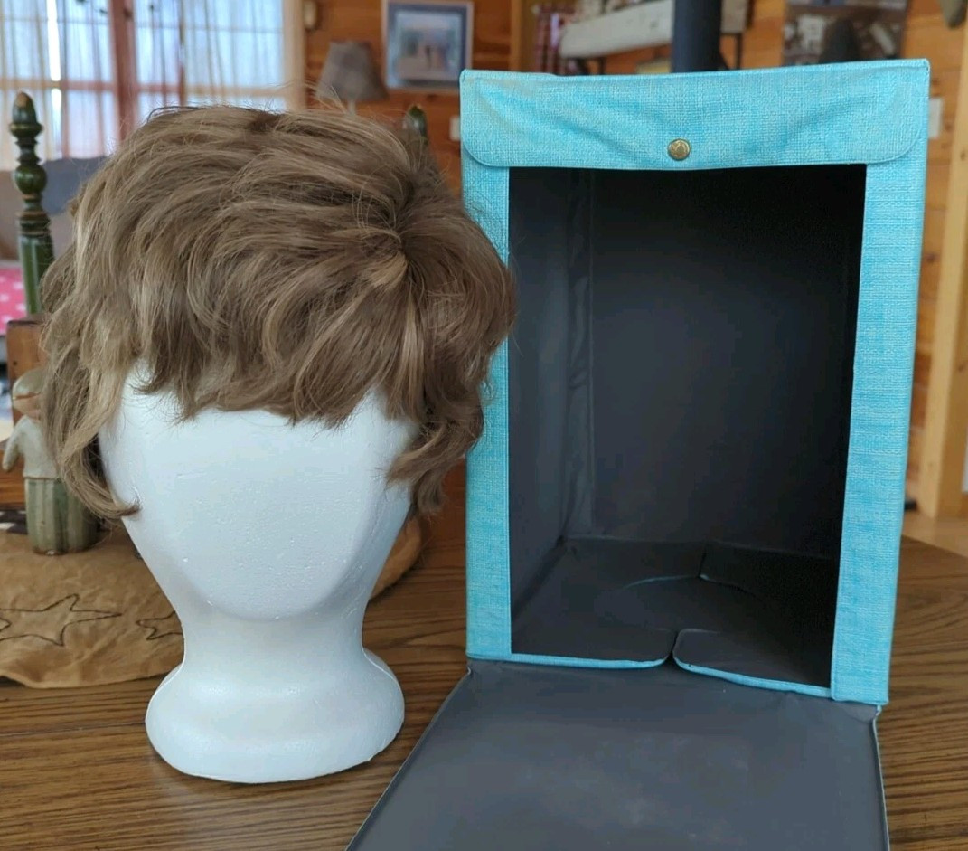 Carousel Wig Brunette/Blonde Highlights Carousel & Box Carry Case 1970s Vintage Carousel Wig Brunette/Blonde Highlights Carousel & Box Carry Case 1970s Vintage
