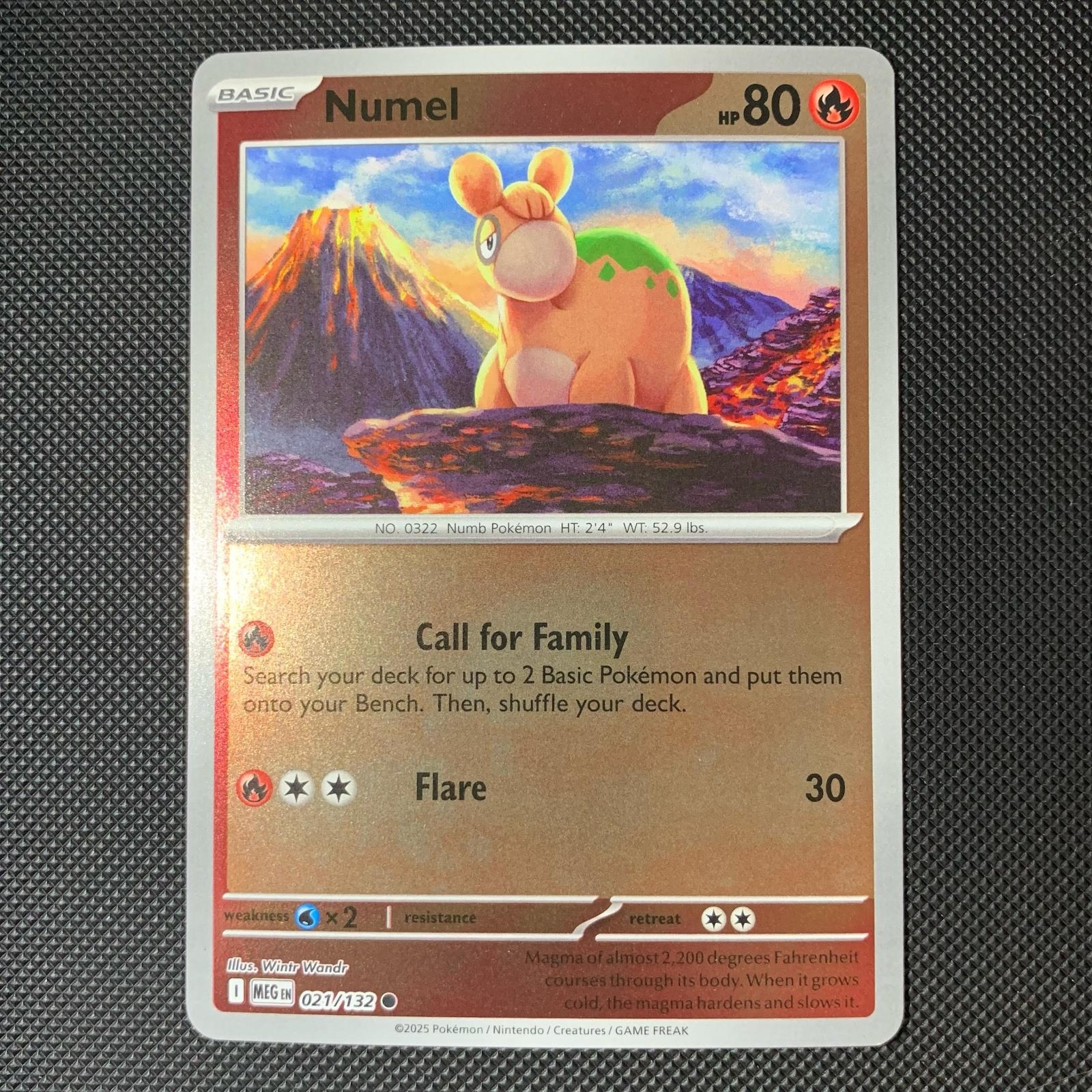 Numel 021/132 Common Mega Evolution Pokemon Reverse Holo Near Mint
