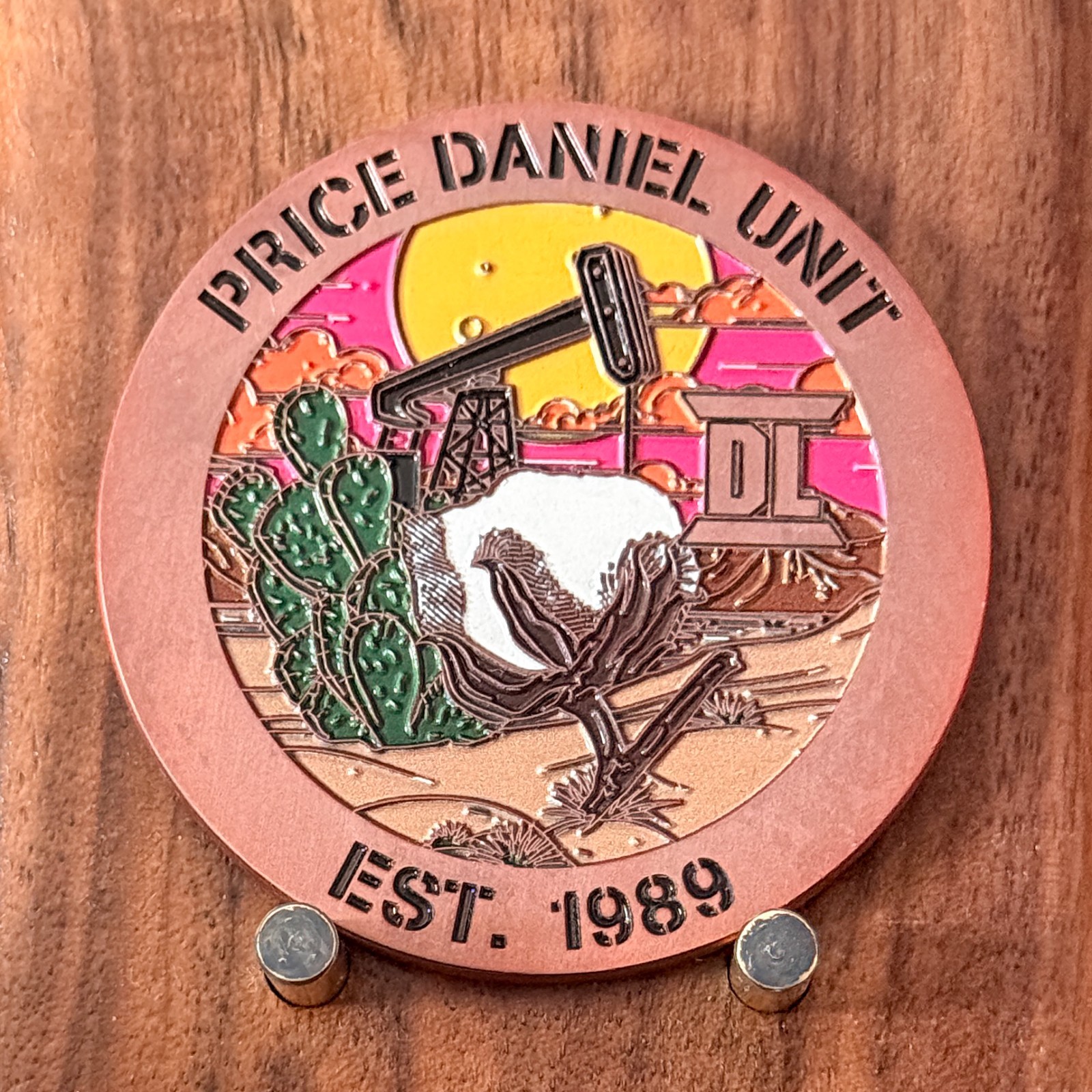 Price Daniel Unit Texas Department Of Criminal Justice Challenge Coin  W#19