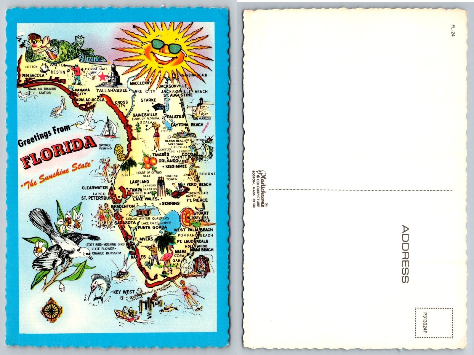 Continental Florida Map Illustrated Postcard Continental Florida Map Illustrated Postcard