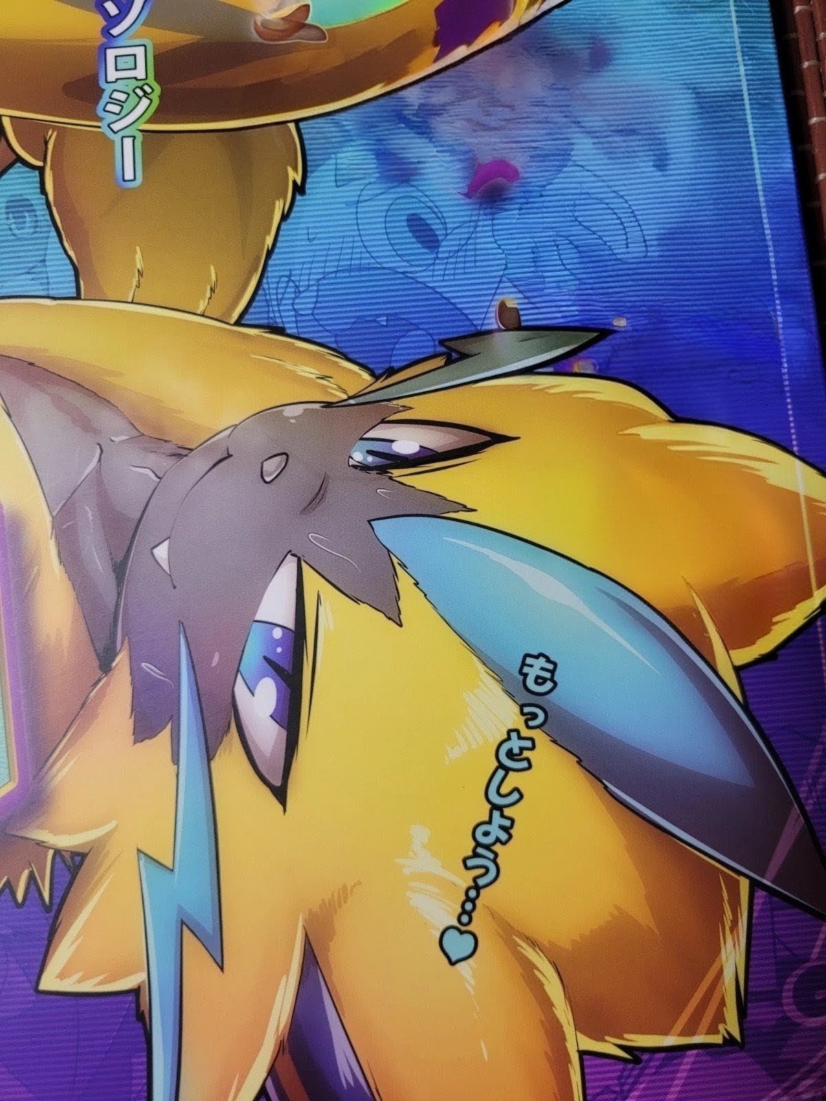 Pokemon Doujnshi Zeraora Lucario Anthology (B5 - 116 Pages) Kairaku ochi male #1