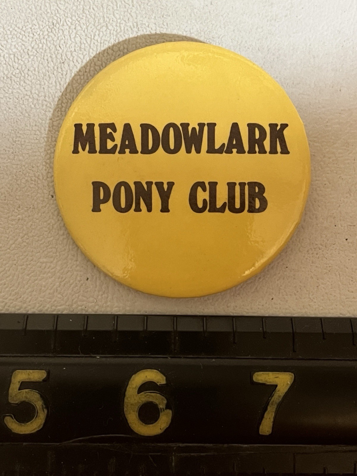 Vtg Wichita Kansas MEADOWLARK PONY CLUB Horse Management Pinback Button B037