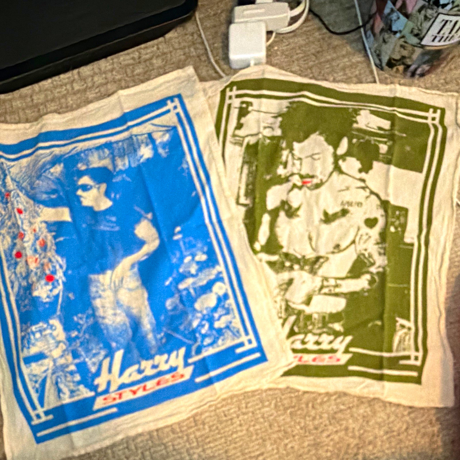 Harry Styles 2-Pack Cotton Graphic Print Tea Towels Blue/Green Decorative