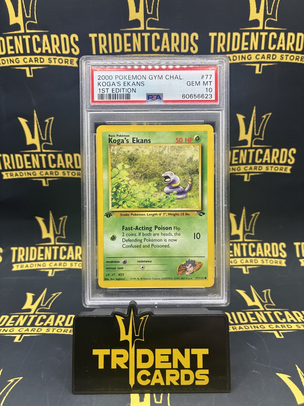 PSA 10 2000 POKEMON GYM CHALLENGE #77 KOGA\'S EKANS 1ST EDITION PSA 10 2000 POKEMON GYM CHALLENGE #77 KOGA\'S EKANS 1ST EDITION