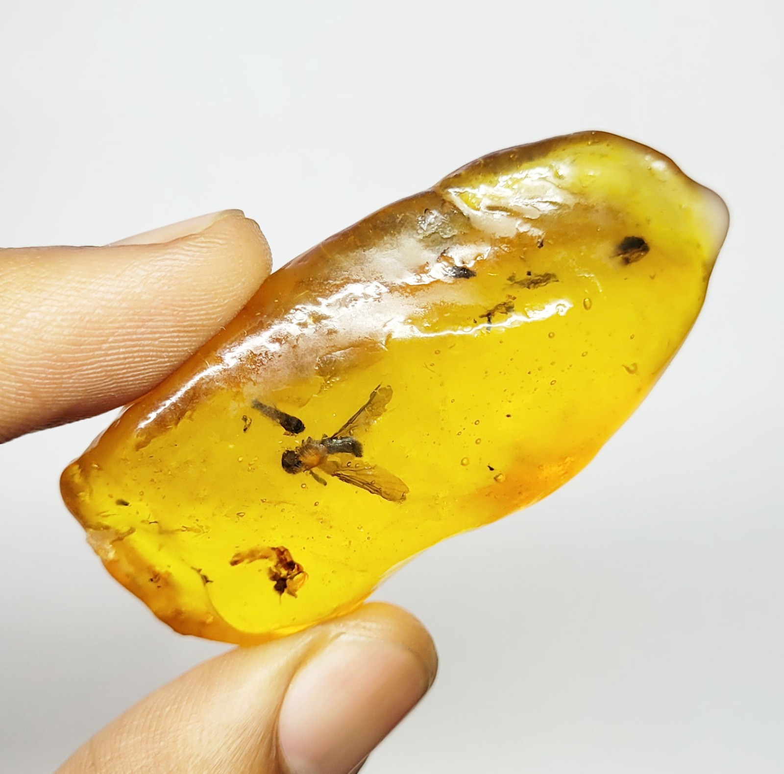Natural Baltic Amber Fossil Butterfly: Rare Yellow-Honey Gemstone (70 ct)