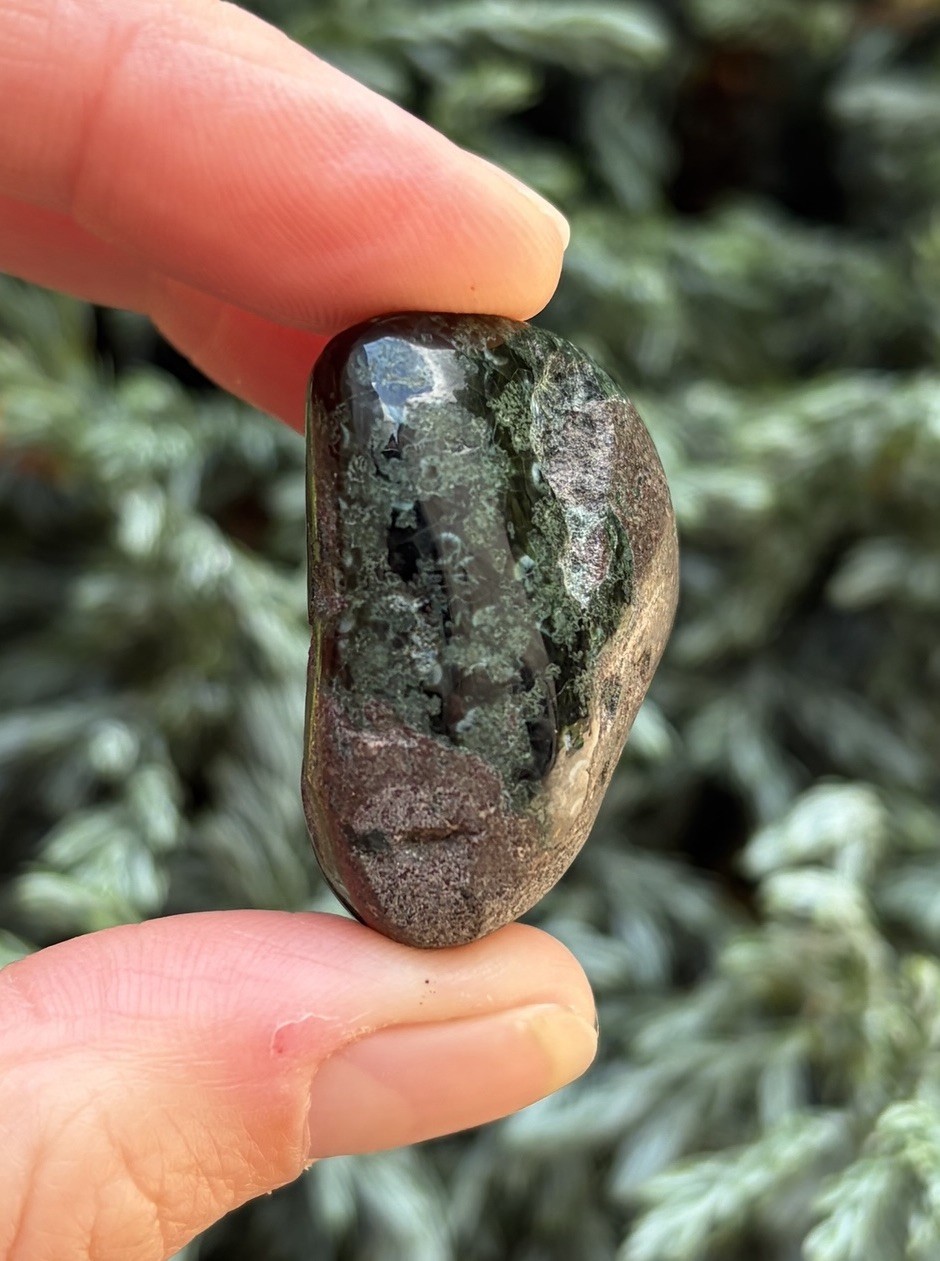 Isle Royale Greenstone Matrix Specimen Polished Michigan Chlorastrolite 24g