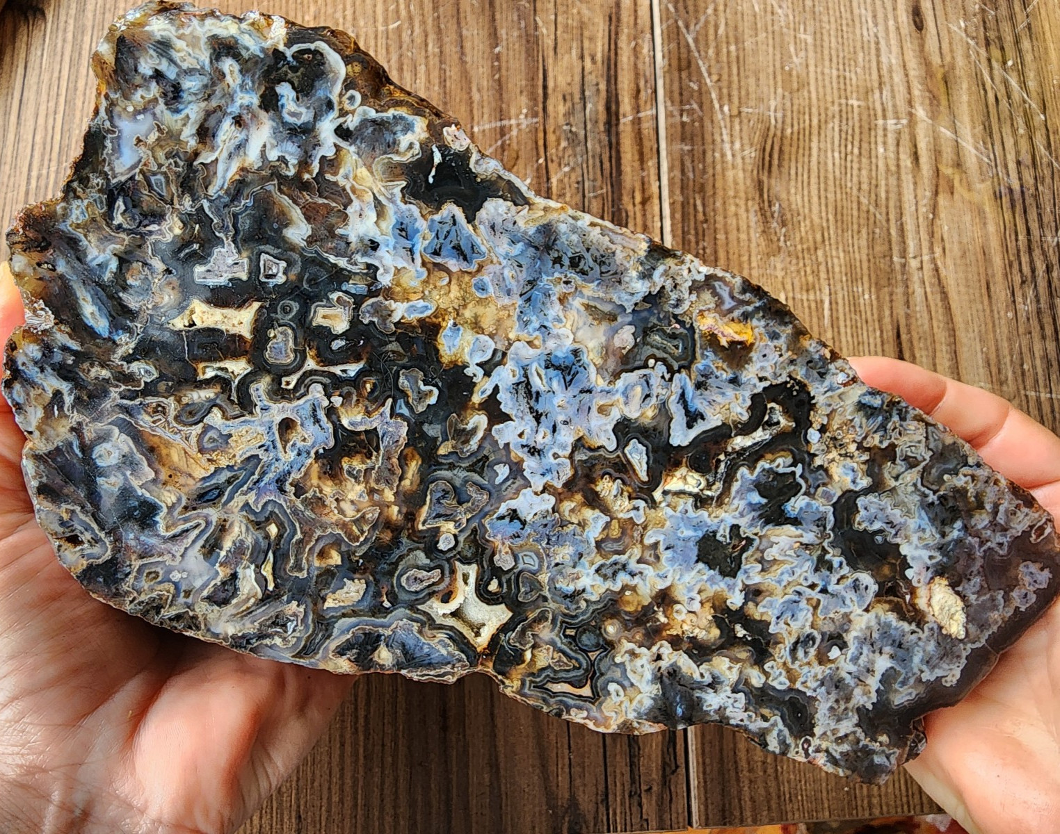 6.2 lbs (2.8 kg) Agate Statement, Agate Display, Agate Art, Large Agate Slab