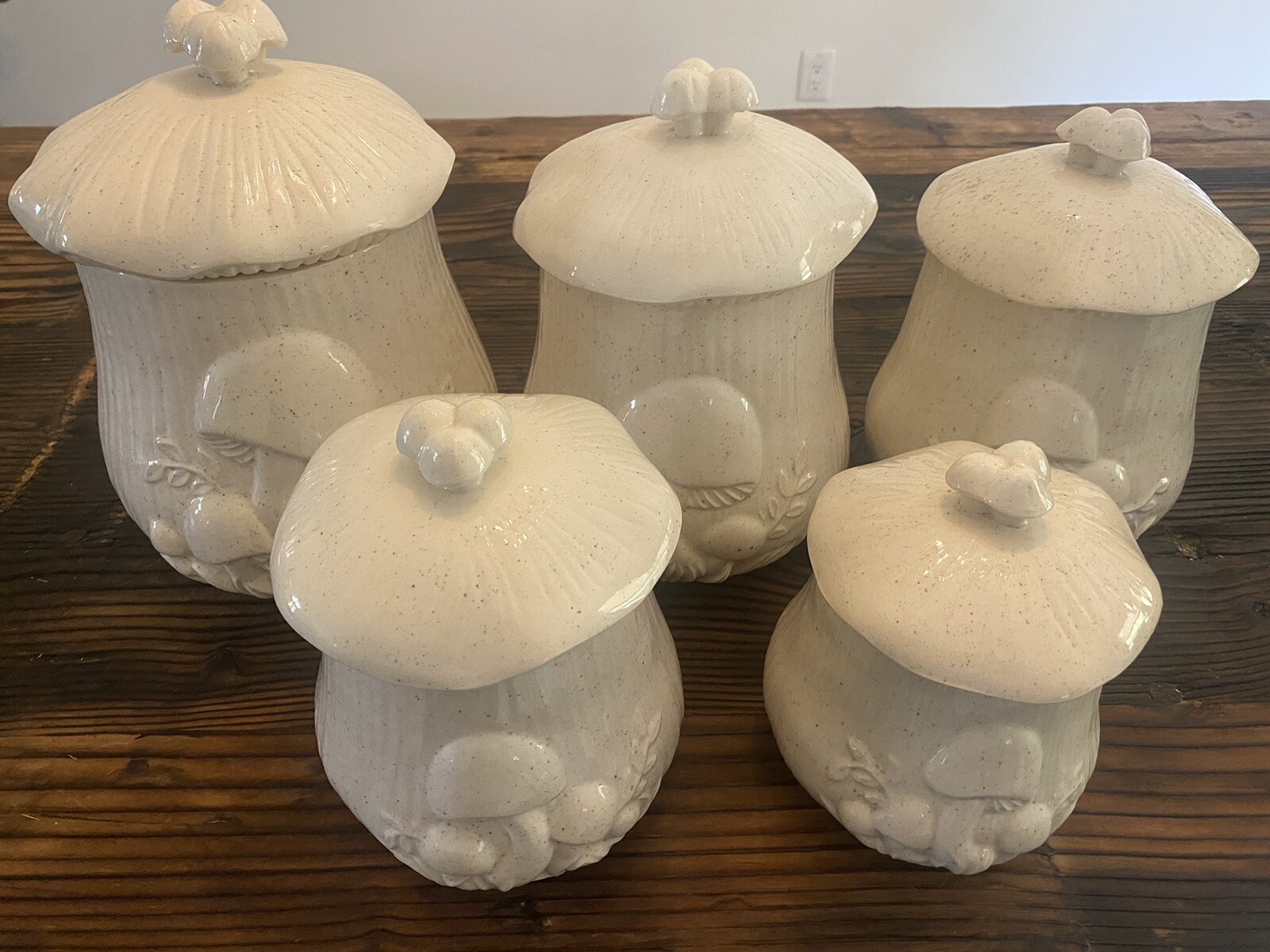Vintage Arnel's Rare Cream with brown specks Mushroom Canister Set of 5-1970's
