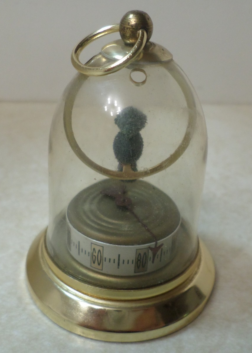 Antique French Bird In Domed Cage Vintage Thermometer