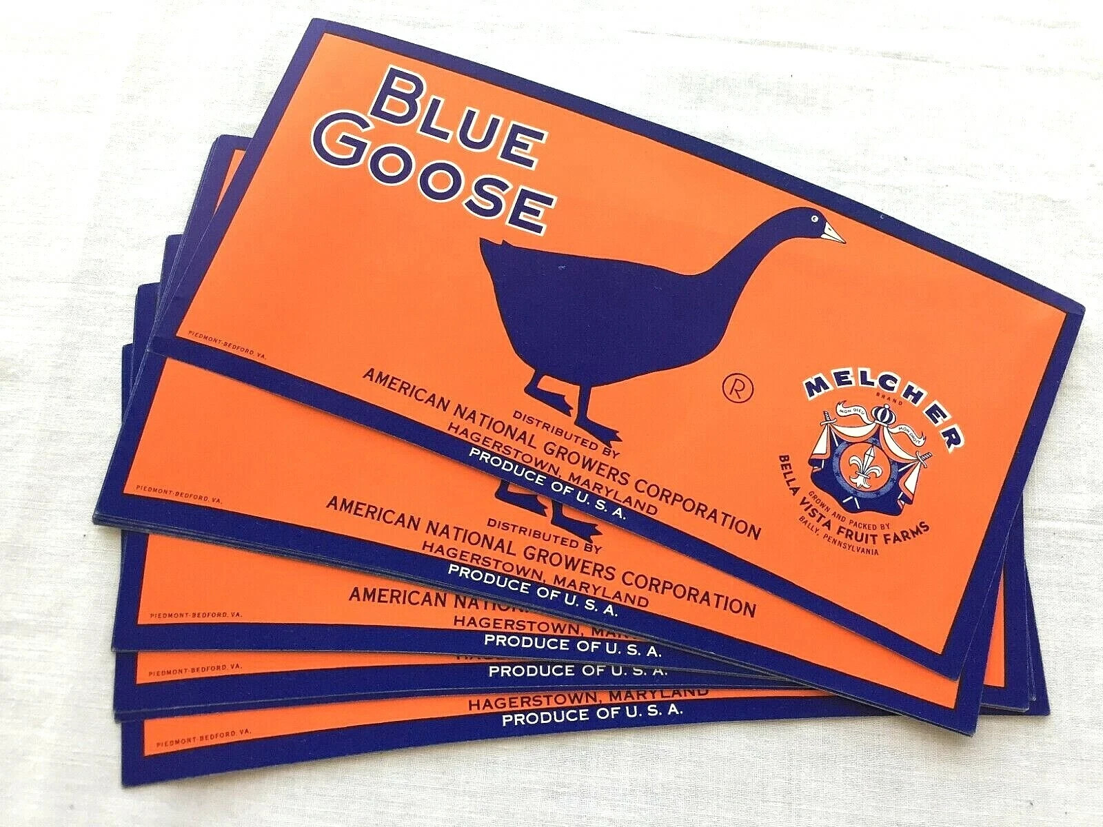 25 BLUE GOOSE vintage fruit crate labels Melcher Bally PA unused old stock 8 x 4
