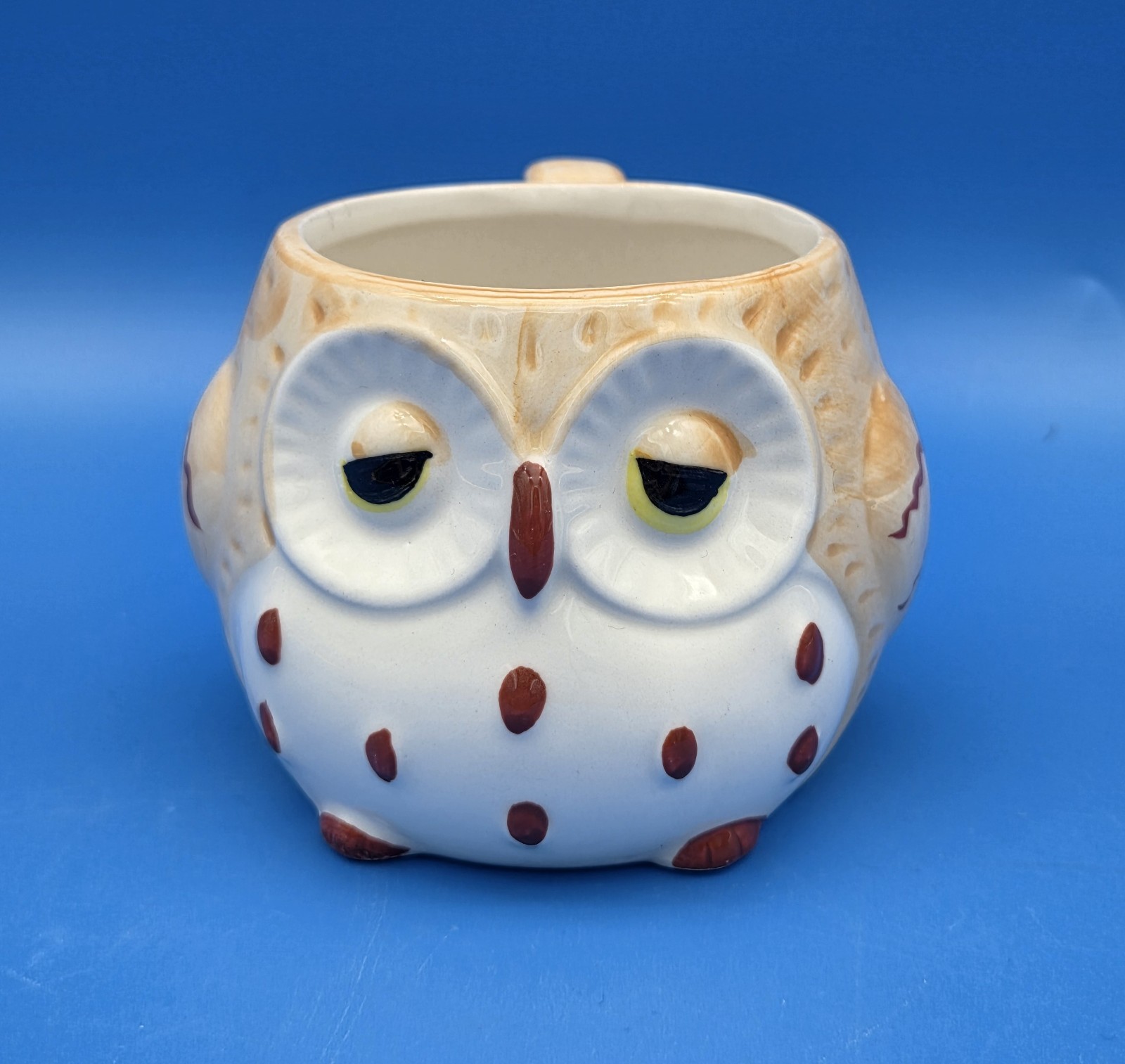 Vintage 1970s Ceramic Sleepy Owl Mug 