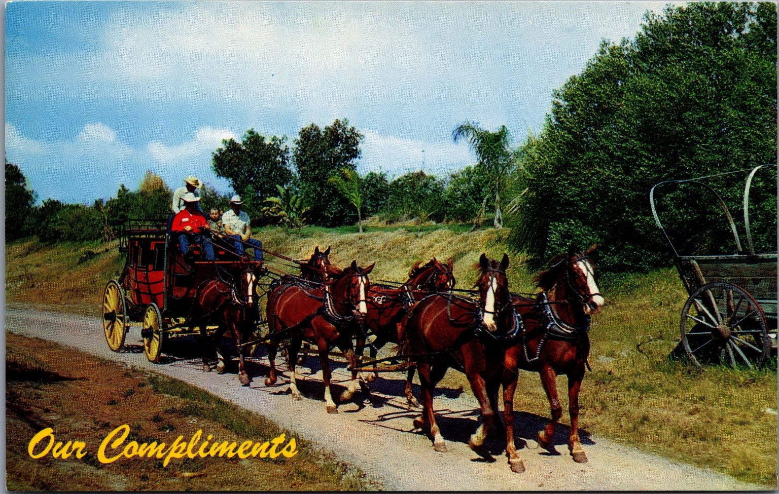 Knott\'s Berry Farm Stagecoach Postcard 1982 Buena Park CA Red Nickell Photo Knott\'s Berry Farm Stagecoach Postcard 1982 Buena Park CA Red Nickell Photo