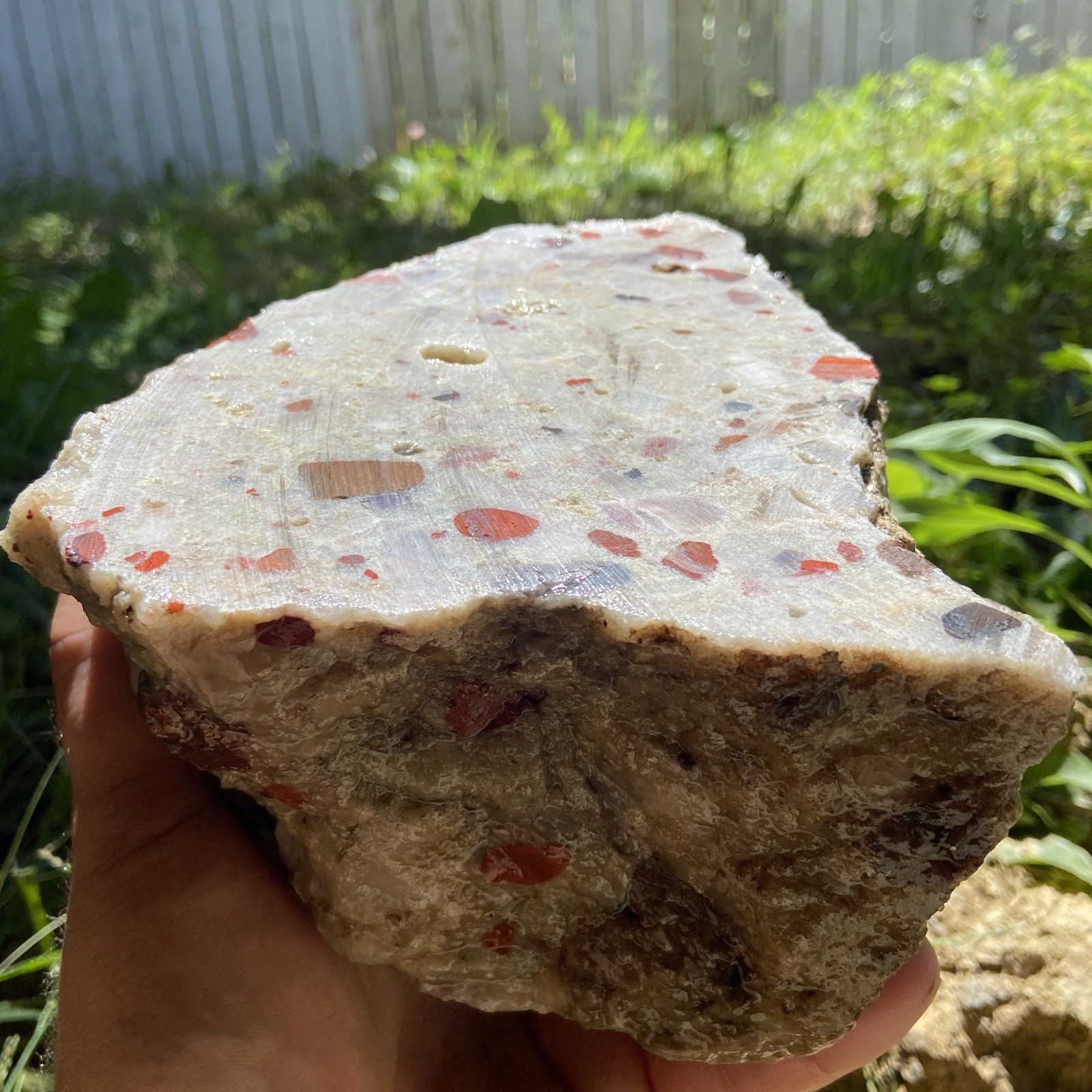 8 Pounds Large Puddingstone Michigan Lapidary Rough Stone