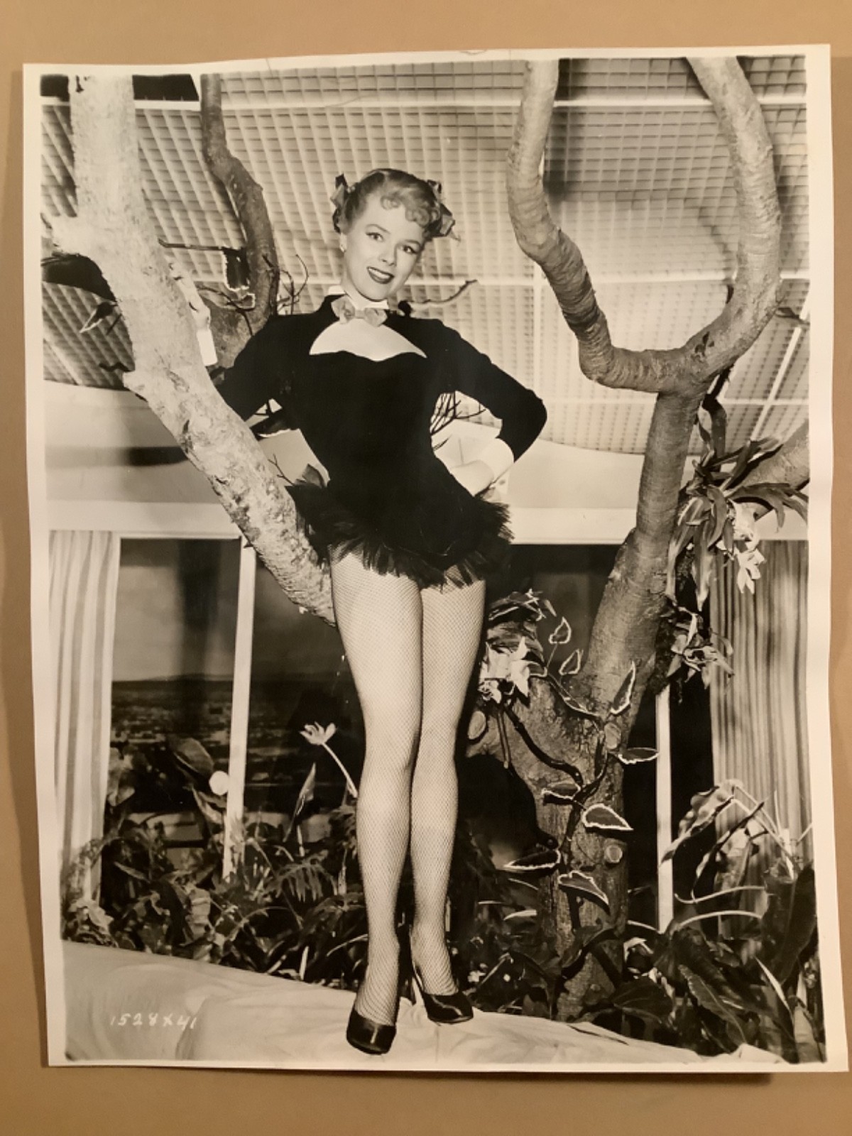 leggy dancer fishnet stockings pinup photo Sally Forest  “Excuse My Dust” 1951