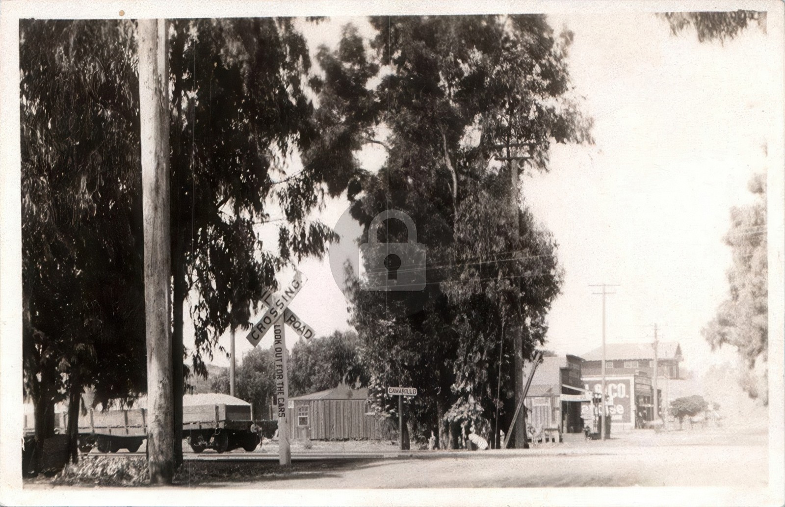 CAMARILLO CA California STREET SCENE c1910s Ventura County RPPC Postcard COPY
