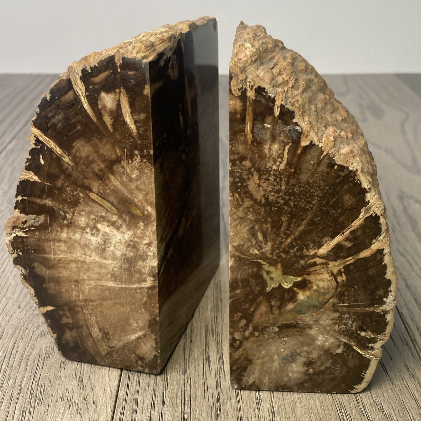 Petrified Wood Bookend Set 6.12lb Large Polished Rock Book End Pair