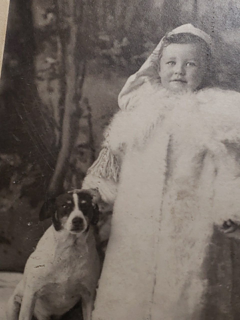 Antique 1900s Chicago Studio Photo Fred Robbins White Fur Coat Toddler Dog