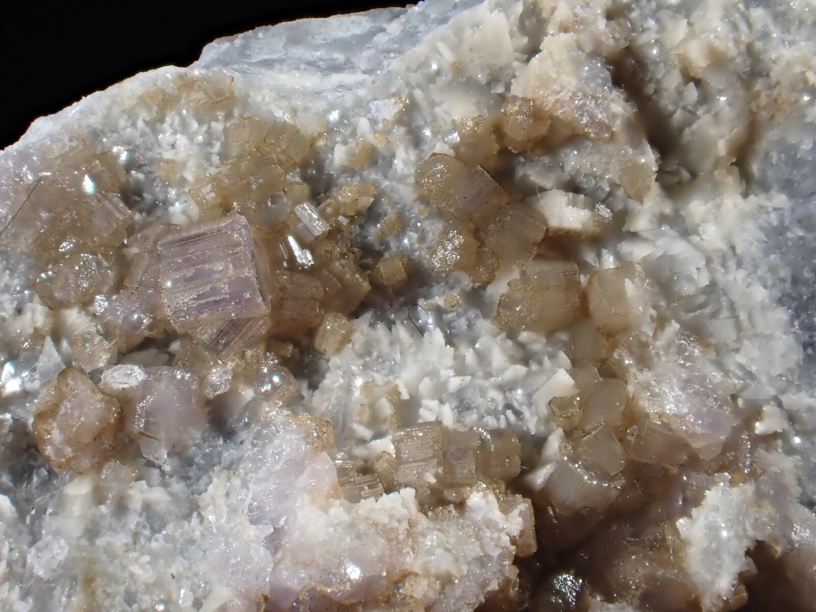 Zoned Purple-Brown Fluorapatite Foote Mine Cleveland Co North Carolina Zoned Purple-Brown Fluorapatite Foote Mine Cleveland Co North Carolina