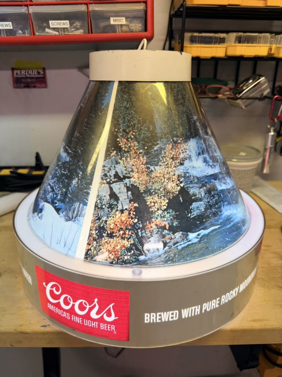 RARE Vintage COORS Rocky Mountains Hanging LAMP