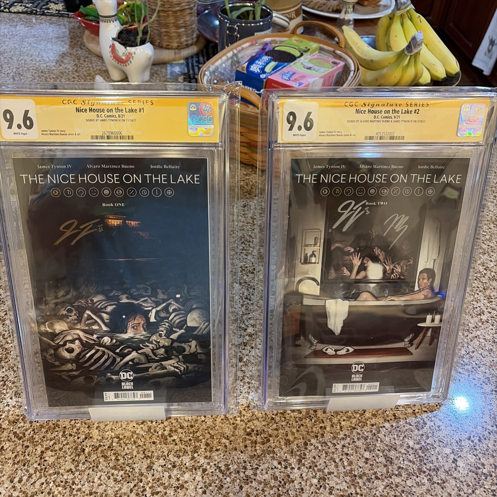 NICE HOUSE ON THE LAKE - #1 - CGC 9.6 SIGNATURE James Tynion IV, #2-CGC 9.6 NICE HOUSE ON THE LAKE - #1 - CGC 9.6 SIGNATURE James Tynion IV, #2-CGC 9.6