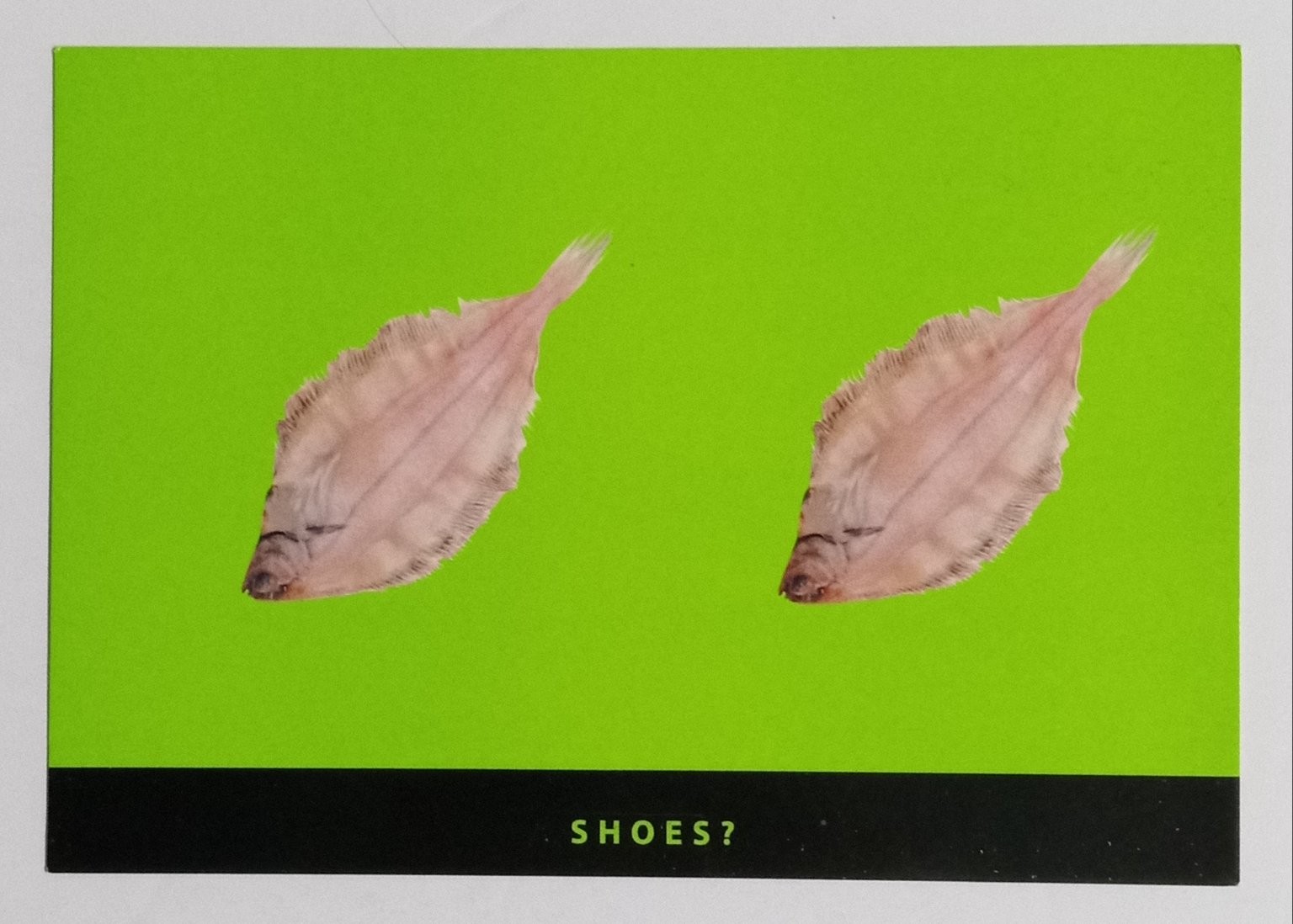 Kangol Footwear Promotional Postcard - SOLES Fish Shoes Art Card Kangol Footwear Promotional Postcard - SOLES Fish Shoes Art Card