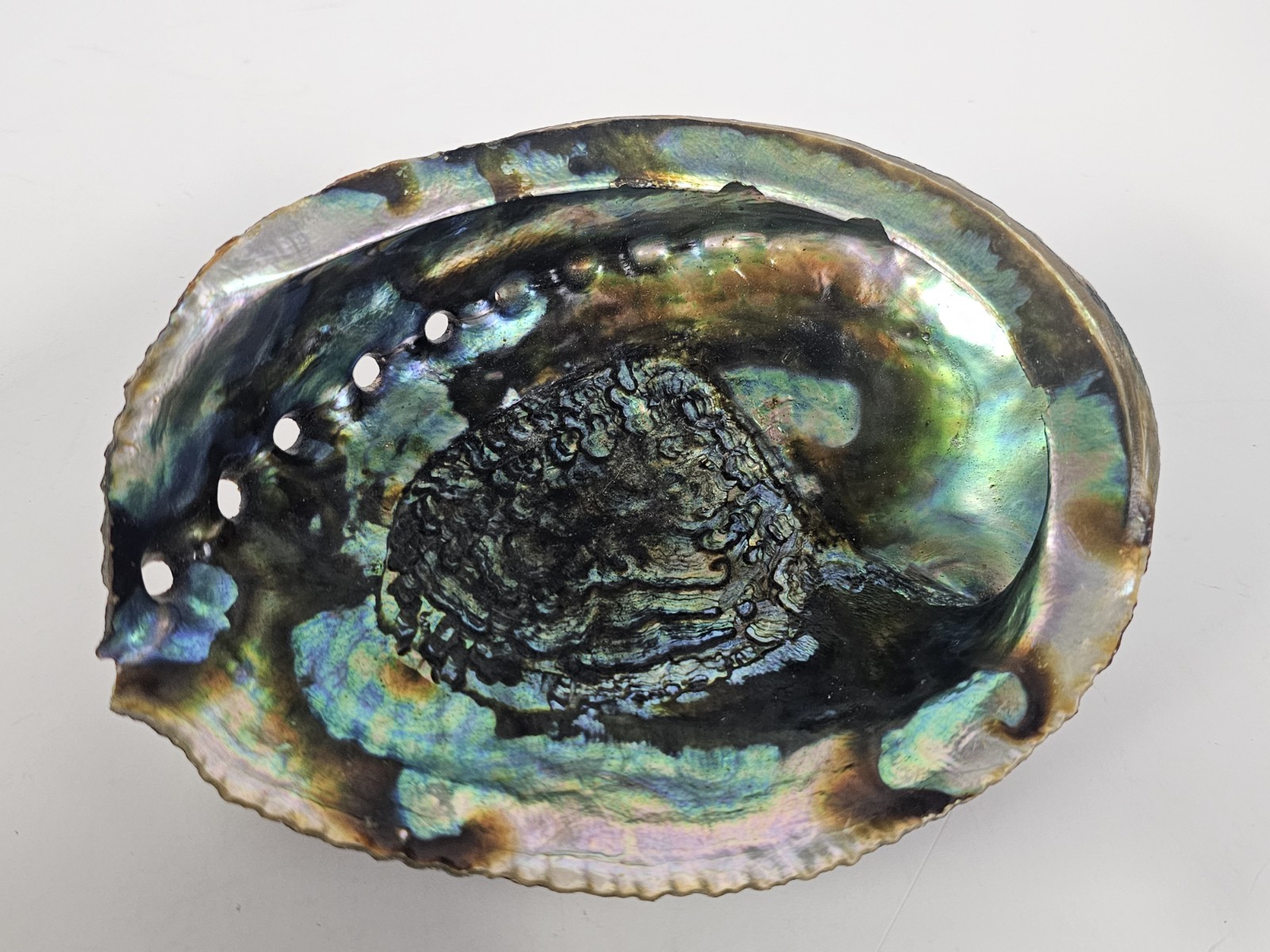 Vintage Abalone Sea Shell Trinket Dish 6