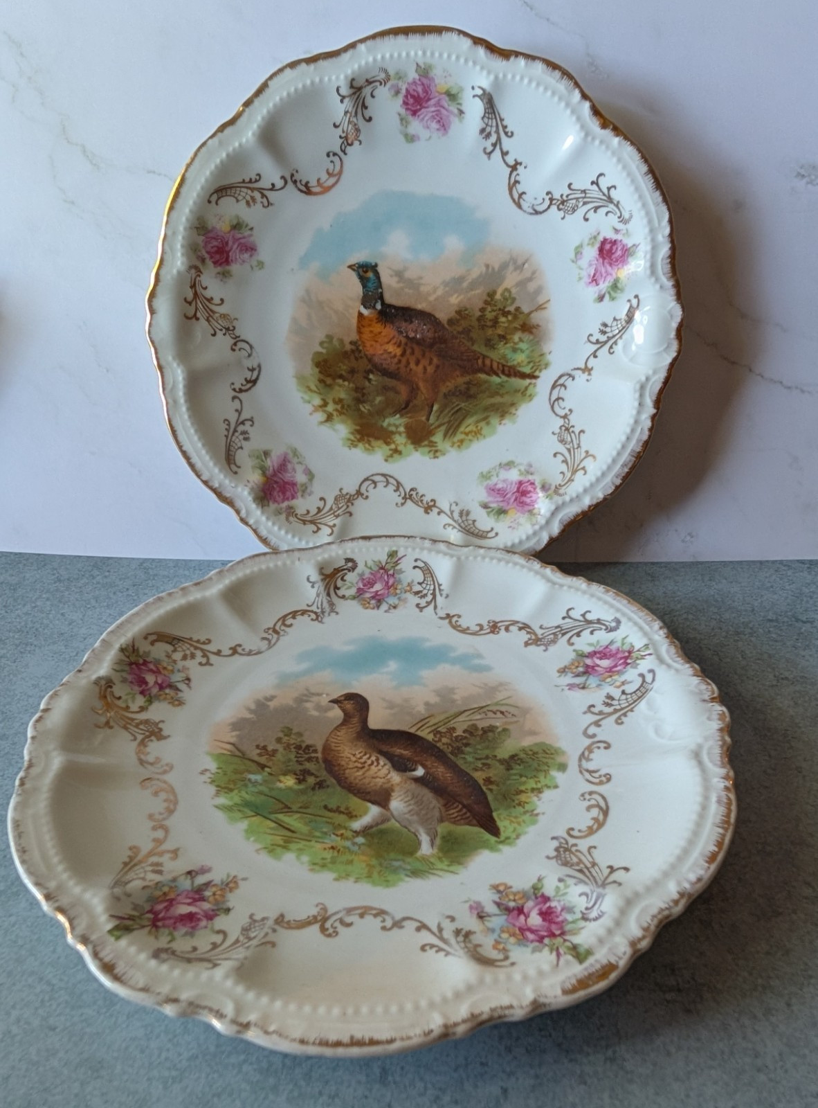 2 Antique Game Bird Porcelain Plates PM Bavaria Moshendorf Pheasant Grouse Roses