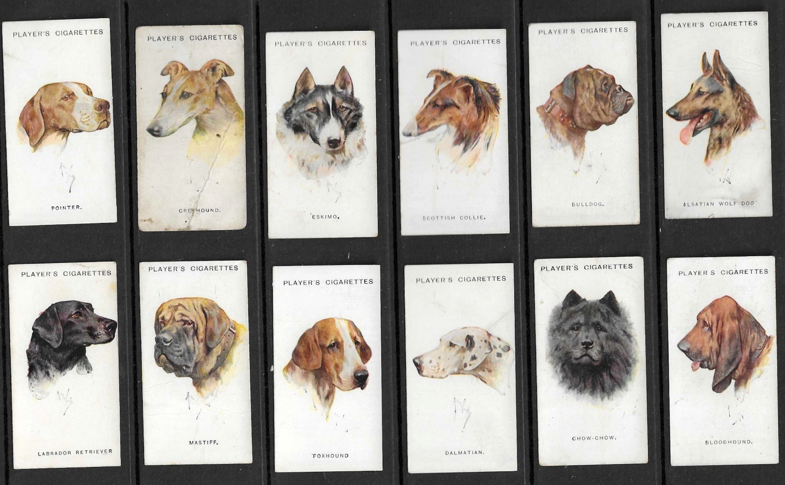  Players 1927 DOGS (from wardle paintings) set cigarette cards