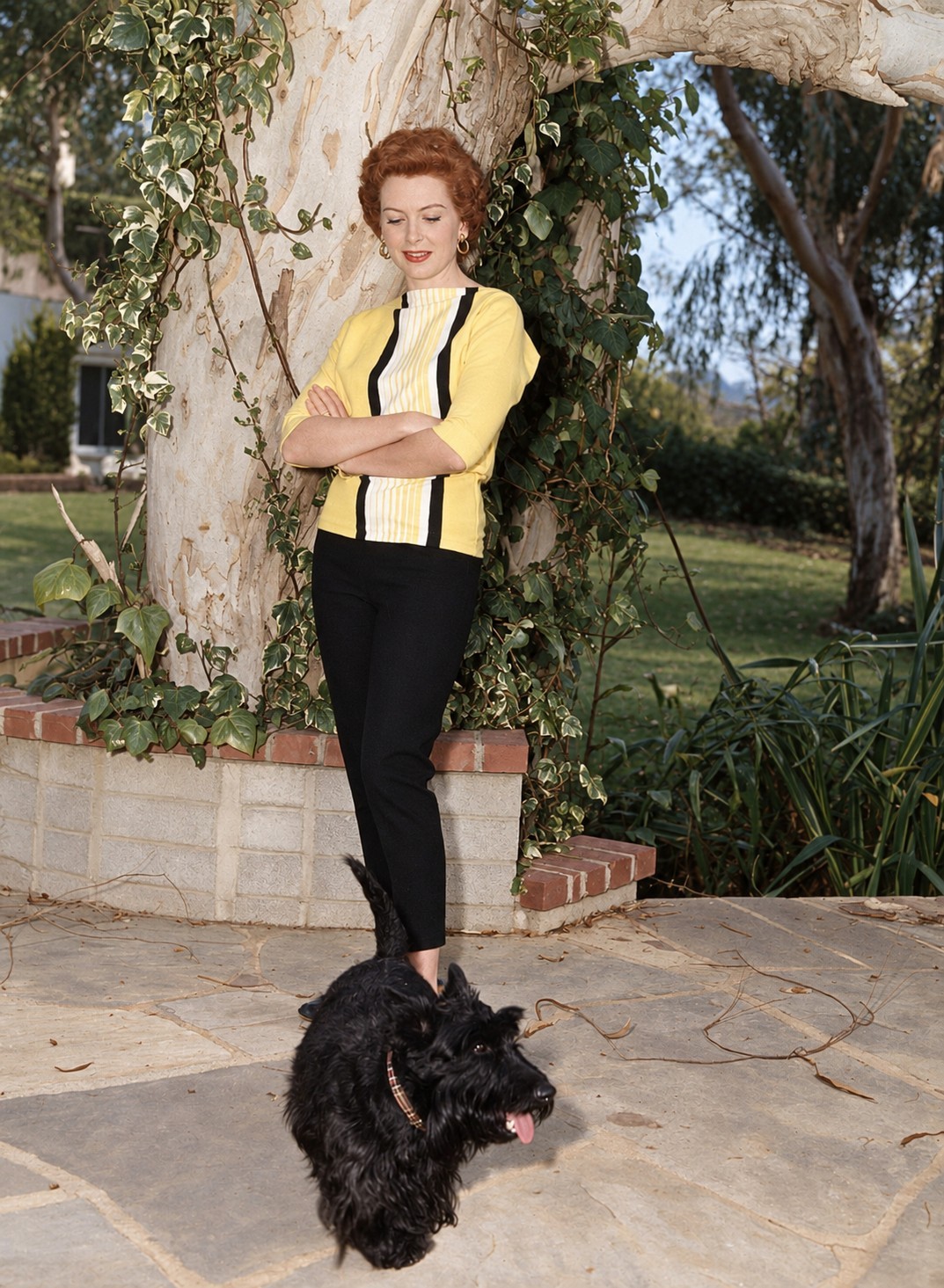 Deborah Kerr W Dog 8.5x11 Giclee Photo
