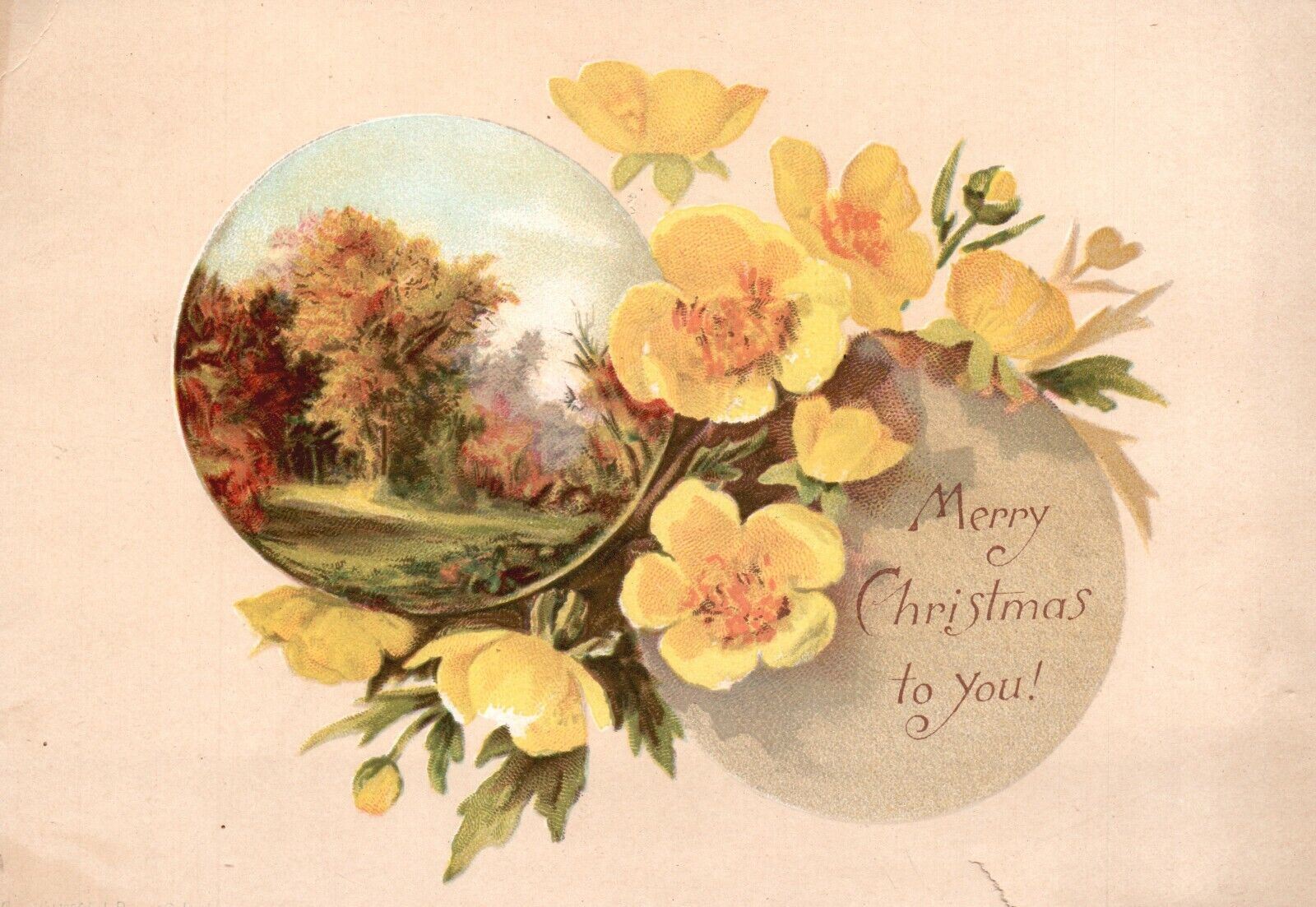1880s-90s Merry Christmas to You Yellow Flowers Field Trade Card 1880s-90s Merry Christmas to You Yellow Flowers Field Trade Card