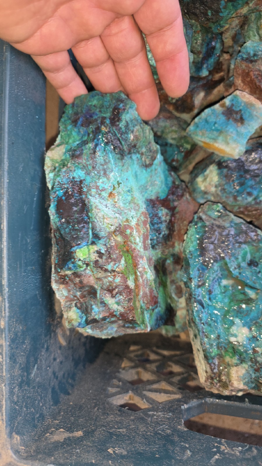shattuckite with chrysocolla rough (By The Pound) 1 inch to 3 inches sizes shattuckite with chrysocolla rough (By The Pound) 1 inch to 3 inches sizes